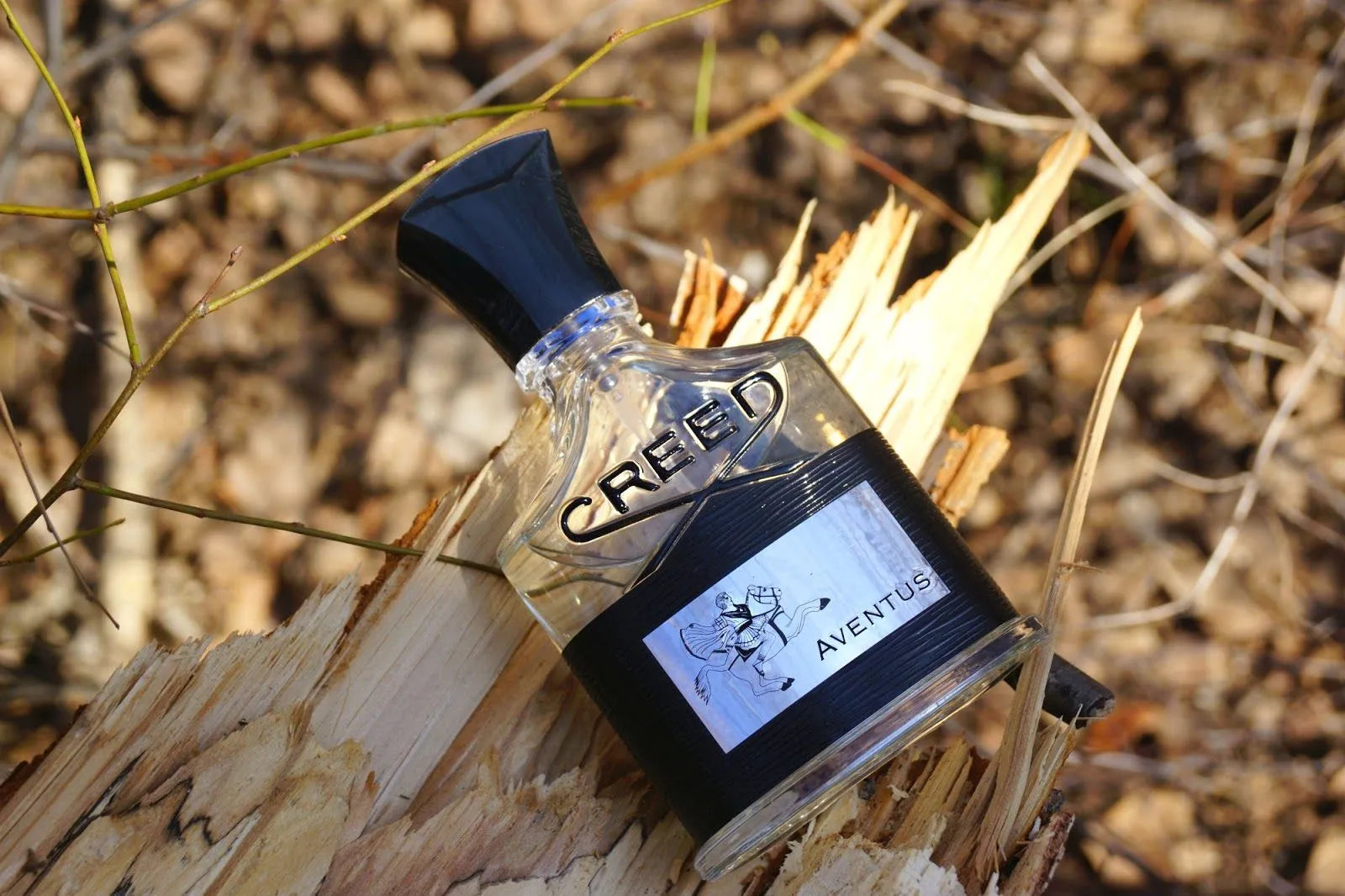 Aventus Creed eu de parfum (Incluye Feromonas)